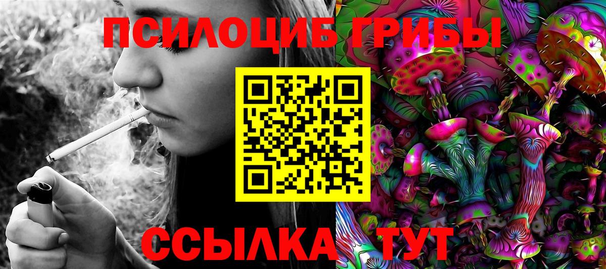 Бахчисарай  Псилоцибиновые грибы MAGIC MUSHROOMS  Вход с VPN 