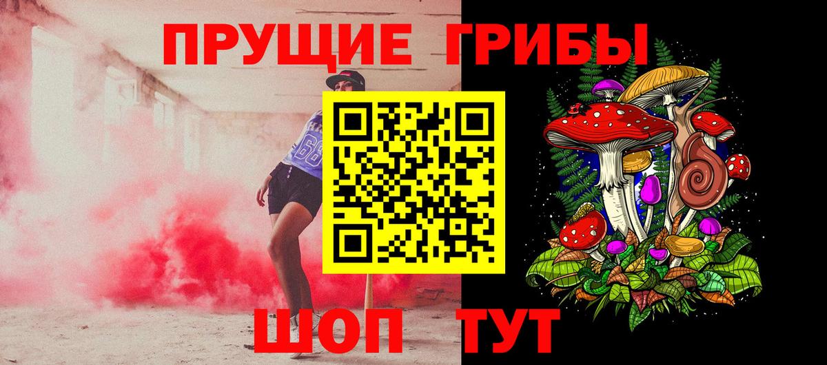 Псилоцибиновые грибы Cubensis Бахчисарай